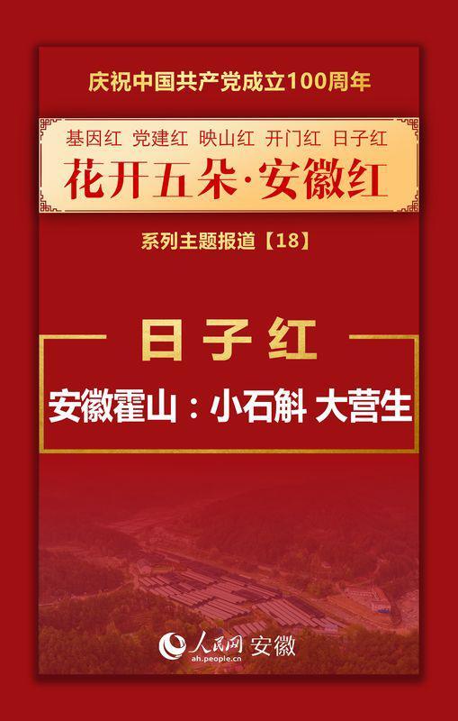 日子红丨安徽霍山：小石斛 大营生