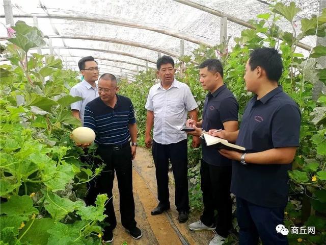 【壮丽70年•奋斗新时代】遍访梨乡挖亮点 增强“四力”再出发