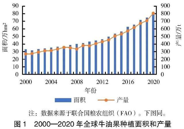 全球及中国牛油果产业现状分析及发展对策研究