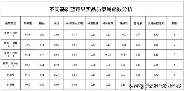 基质栽培蓝莓丰产可实施方案