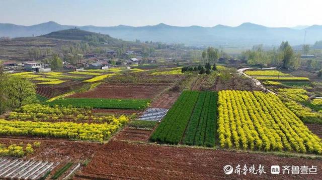 仲春时节，蒙阴山川秀美如画