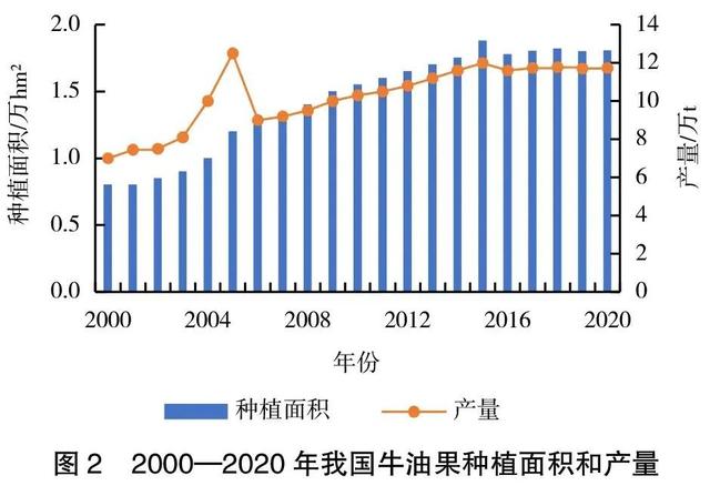 全球及中国牛油果产业现状分析及发展对策研究