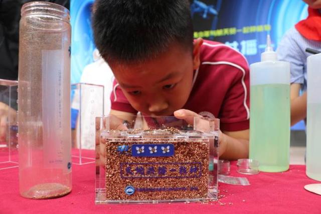 水稻和拟南芥，杭州中小学生和天宫空间站一起播种啦