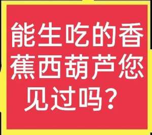 葫芦巴种植(特色蔬菜大分享——香蕉西葫芦，既漂亮还能生吃，亩产过万元)