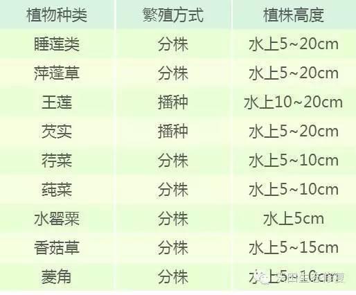 水生植物设计，收藏这一篇就够了