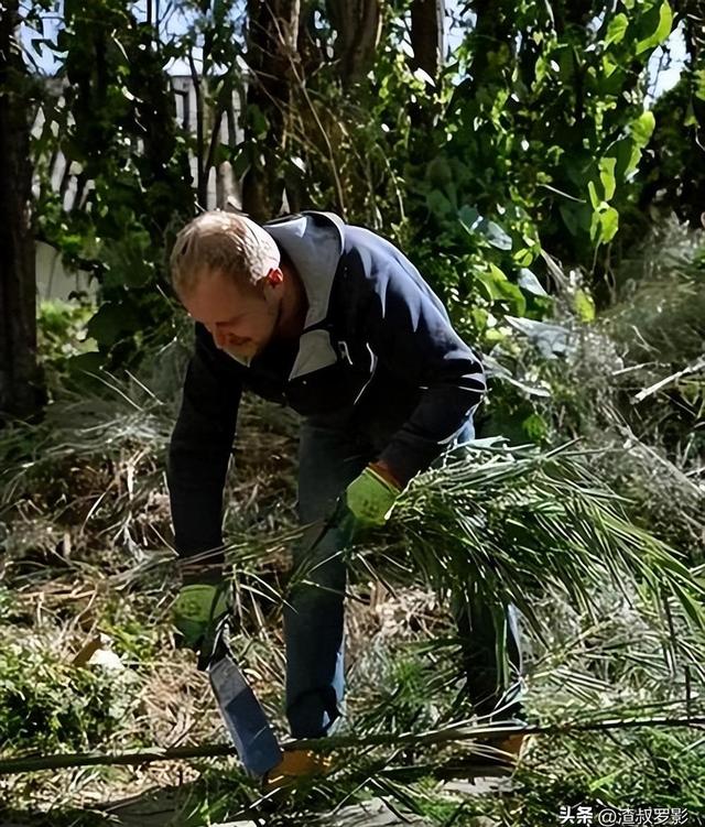 中国种植大规模，每年50亿元难抵外国泛滥