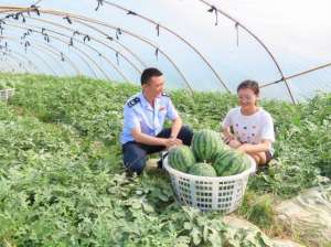 德阳西瓜种植电话(四川德阳：乡村产业振兴 “税”到渠成)