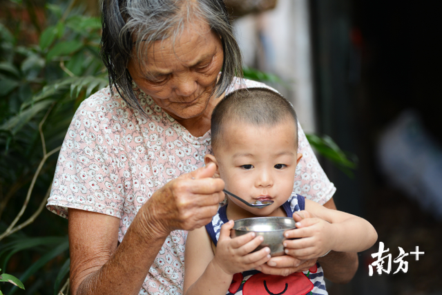 一碗凉粉做了40年！廉江这条“凉粉草村”承载几代人记忆…