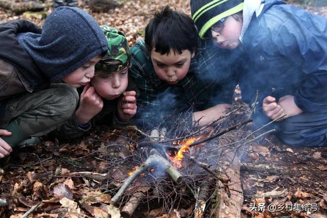 农业研学项目怎么做的好？美国这家最佳儿童农场营地经验值得借鉴