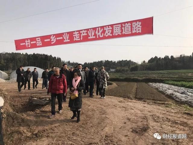 万亩枳壳中药材基地落户帅乡故里——乐至县