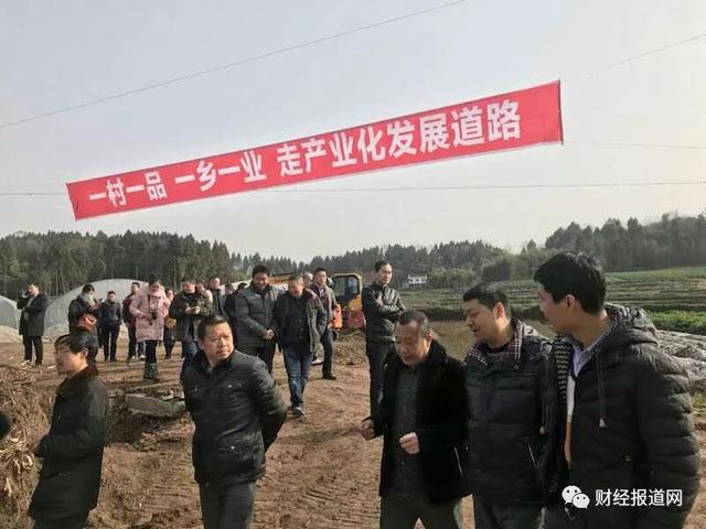 万亩枳壳中药材基地落户帅乡故里——乐至县