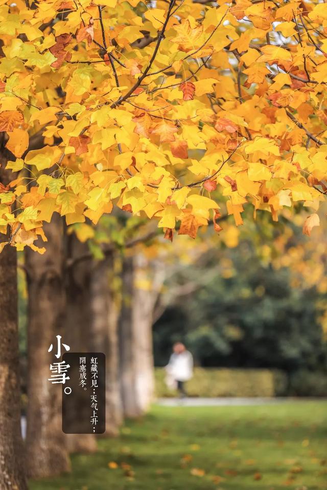 最后有惊喜！宜栽种，藏在ZUCC的早春时节