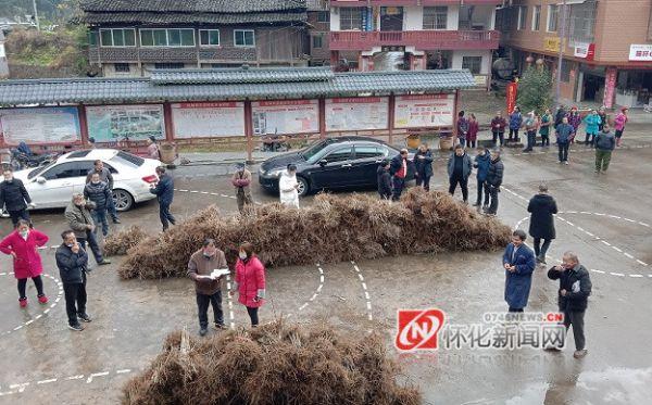 图说怀化｜小小钩藤苗变身“致富宝”