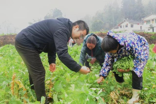 以“技”助农，万象“耕”新