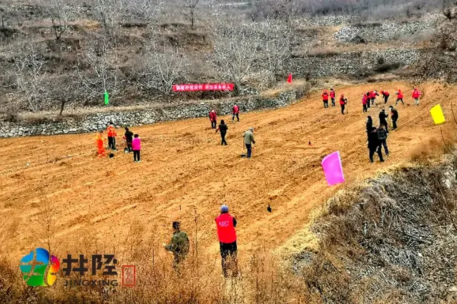 无须再等三生三世，井陉这里已种下浪漫桃林！来看是你老家吗？