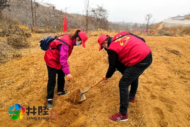 无须再等三生三世，井陉这里已种下浪漫桃林！来看是你老家吗？