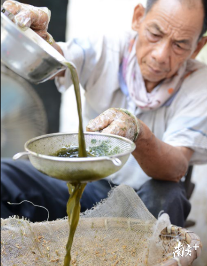 一碗凉粉做了40年！廉江这条“凉粉草村”承载几代人记忆…