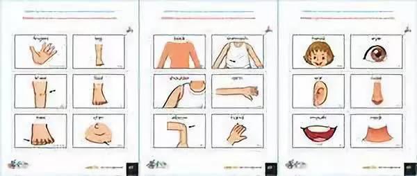 小学、初中同学看过来！人体各个部位英语词汇，值得永久收藏
