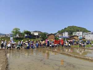 福建花菜种植基地(平和霞寨：退果还耕增收致富，农民乐开颜)