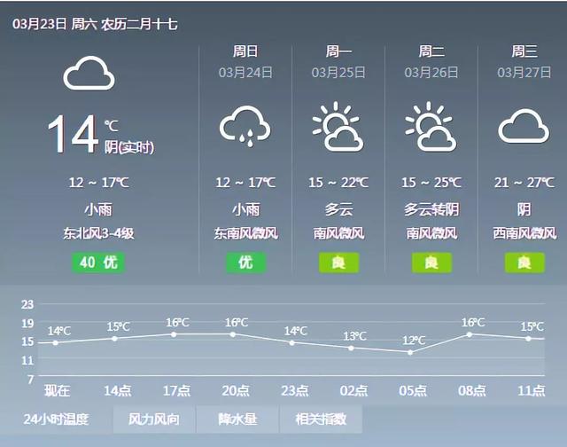 【新闻下午茶】博白藏着一处世外桃源，将在这里打造数千亩油茶示范区