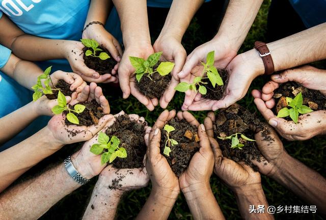 农业研学项目怎么做的好？美国这家最佳儿童农场营地经验值得借鉴