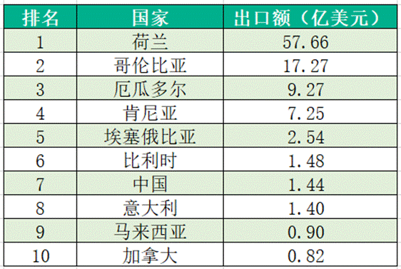 荷兰花卉业的奥秘：如何凭借半数全球产量成就“花卉王国”？