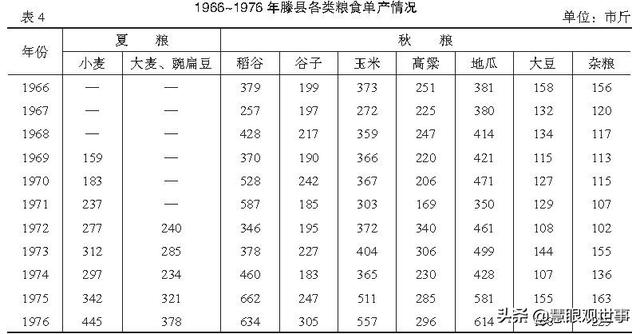 集体化时期人们大面积种植的作物：2、玉米