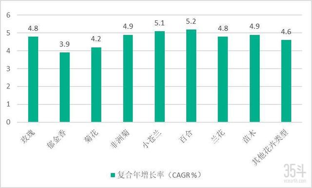 荷兰花卉业的奥秘：如何凭借半数全球产量成就“花卉王国”？