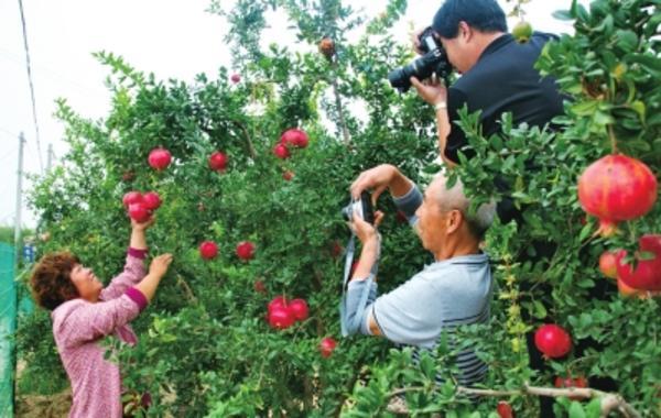 双节出游不必舍近求远 郑州周边县市游攻略请拿好