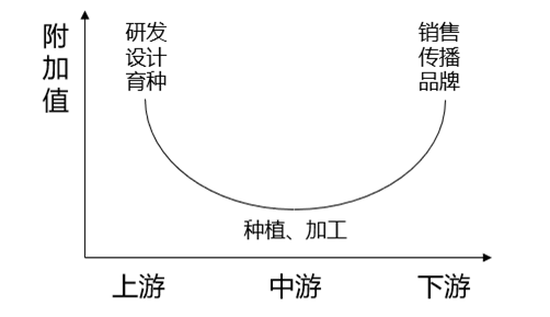 荷兰花卉业的奥秘：如何凭借半数全球产量成就“花卉王国”？