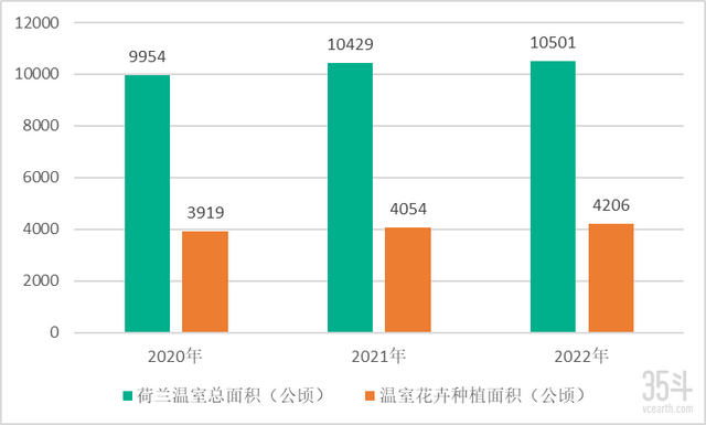 荷兰花卉业的奥秘：如何凭借半数全球产量成就“花卉王国”？