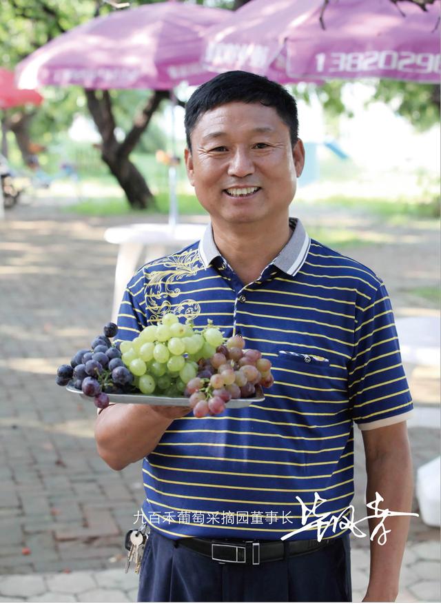 热烈祝贺天津市西青区张家窝镇第五届九百禾葡萄采摘园盛大开幕