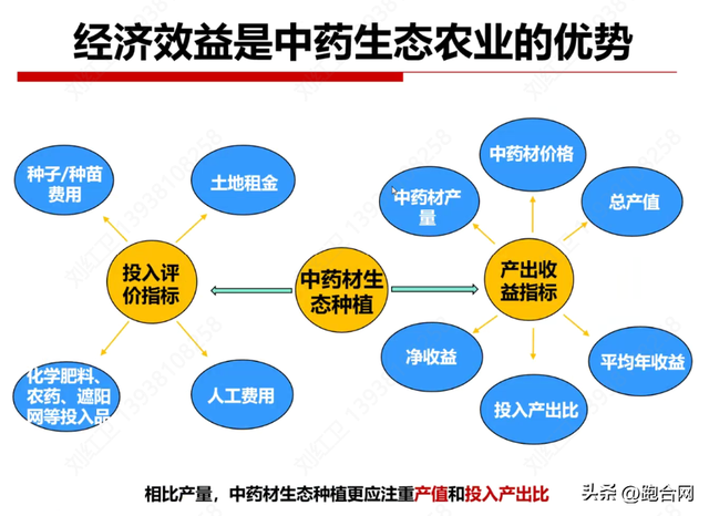 刘红卫专栏：中药材生态种植助力道地药材创新成亮点