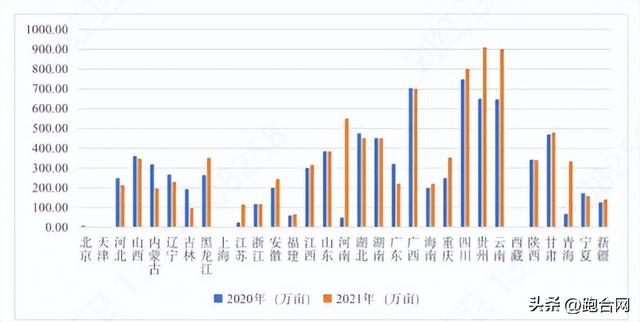 刘红卫专栏：中药材生态种植助力道地药材创新成亮点