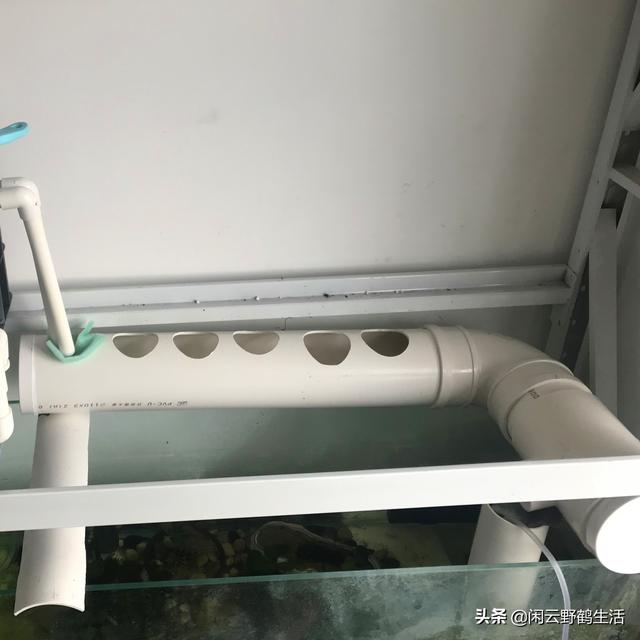 鱼缸上滤不好看？阳台种菜想水培？简单方便的PVC植物水道制作