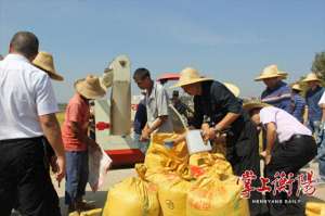 水稻种植示范基地(第三代杂交水稻衡南基地双季亩产再次突破3000斤)