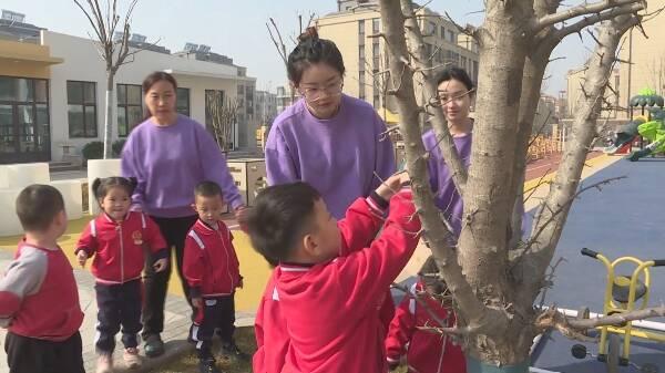 拥抱春天 播种绿色！东营一幼儿园里植树忙