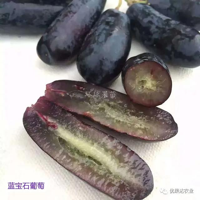 葡萄种植栽培管理技术