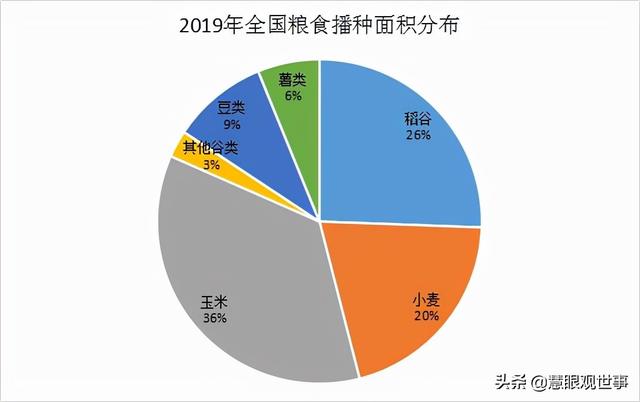 集体化时期人们大面积种植的作物：2、玉米