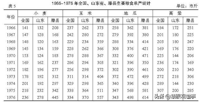 集体化时期人们大面积种植的作物：2、玉米