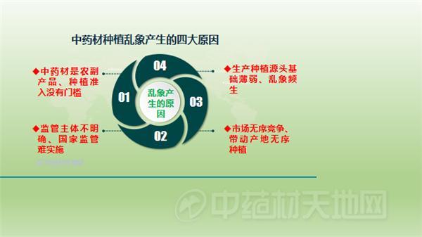 中药材生产种植怎么啦？该怎么办？