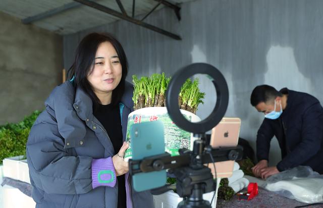 （新春走基层）辽宁新民： 刺嫩芽成了“致富芽”