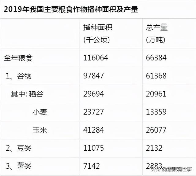 集体化时期人们大面积种植的作物：2、玉米