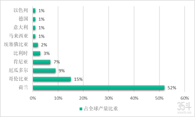 荷兰花卉业的奥秘：如何凭借半数全球产量成就“花卉王国”？