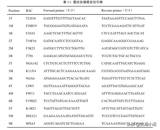 拟南芥DNA的提取、图位克隆以及大肠杆菌感受态的制备