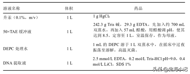 拟南芥DNA的提取、图位克隆以及大肠杆菌感受态的制备