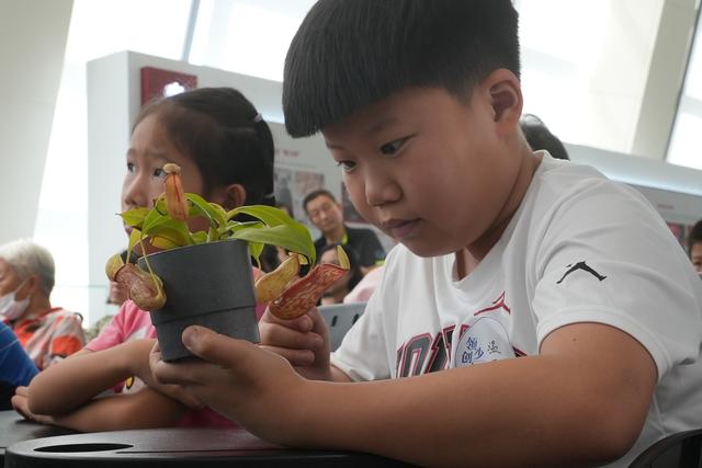 探秘食虫植物，来领创少年大讲堂，看“植物猎手出没记”！