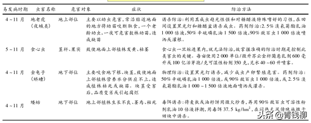 滇重楼无公害栽培关键技术