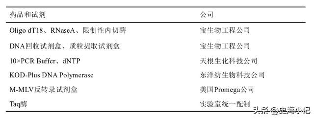 拟南芥DNA的提取、图位克隆以及大肠杆菌感受态的制备