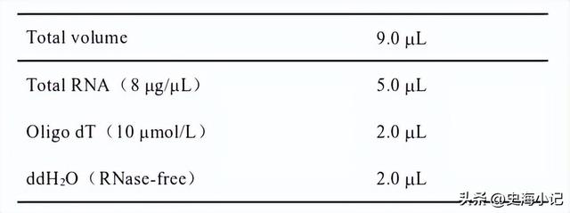 拟南芥DNA的提取、图位克隆以及大肠杆菌感受态的制备